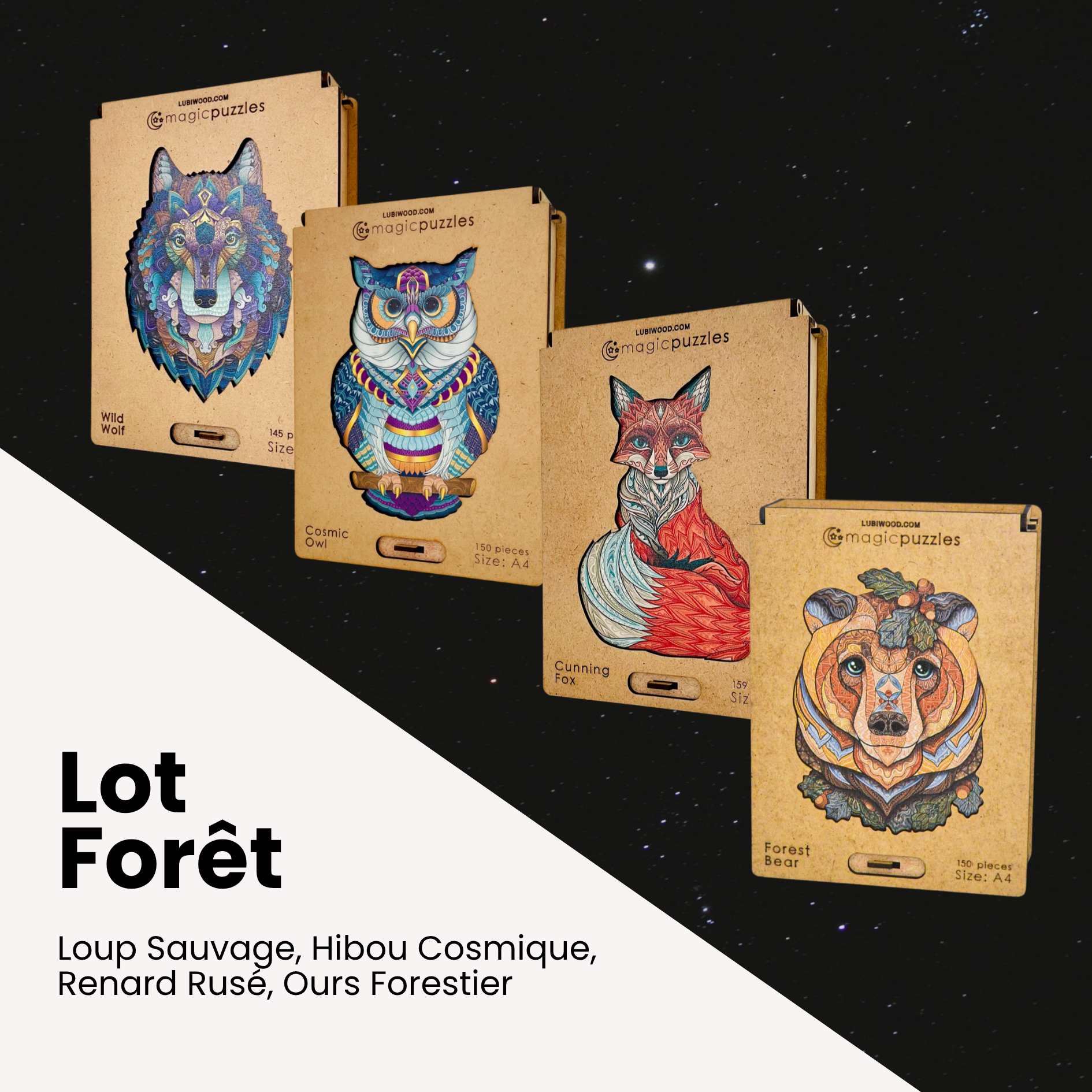 Lot Forêt – Image 1